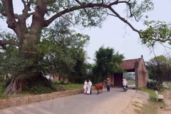 Cổng làng Đường Lâm. (Ảnh: Thanh Hà/TTXVN) 