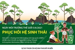 [Infographics] Ngày Môi trường Thế giới 5/6: Phục hồi hệ sinh thái