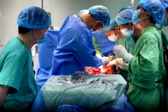 Ekip bác sỹ Bệnh viện Đa khoa Trung ương Cần Thơ phẫu thuật cho bệnh nhân D.T.H.K. (Ảnh: TTXVN)