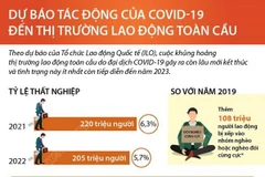 Dự báo tác động của COVID-19 đến thị trường lao động toàn cầu