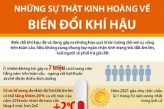 [Infographics] Những sự thật kinh hoàng về biến đổi khí hậu