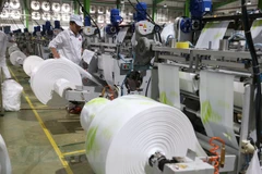 Nhà máy sản xuất bao bì của An Phát Holdings. (Ảnh: Đức Duy/Vietnam+)