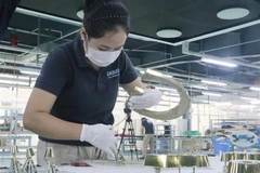Công nhân làm việc tại Công ty Daikan Việt Nam, Khu công nghiệp Amata, tỉnh Đồng Nai. (Ảnh: Công Phong/TTXVN) 