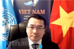 Đại sứ Phạm Hải Anh. (Ảnh: Hải Vân/Vietnam+)