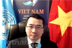 Đại sứ Phạm Hải Anh. (Ảnh: Hải Vân/Vietnam+)