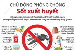 [Infographics] Chủ động phòng chống bệnh sốt xuất huyết 