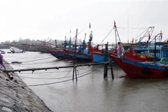 Tàu thuyền tránh trú bão. (Ảnh: Công Tường/TTXVN)