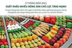 [Infographics] Kim ngạch xuất khẩu nhiều nông sản chủ lực tăng mạnh 