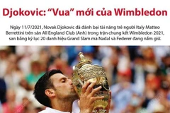 [Infographics] Novak Djokovic đăng quang Wimbledon 2021