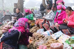 [Photo] Đặc sắc chợ phiên của đồng bào dân tộc Mông nơi biên cương