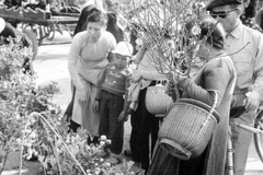 Chợ Đồng Xuân những ngày Tết đến. (Ảnh: TTXVN)