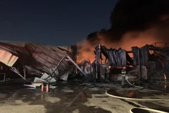 Hiện trường vụ cháy tại Công ty Trách nhiệm hữu hạn Insulpack Việt Nam, phường An Phú, thành phố Thuận An, tỉnh Bình Dương. (Nguồn: TTXVN)