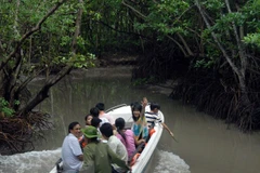 Du khách tham quan Rừng Sác, Cần Giờ. (Ảnh: Hoàng Hải/TTXVN)