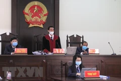 Ảnh chỉ có tính minh họa. (Nguồn: TTXVN)