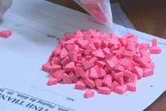 Lực lượng chức năng kiểm đếm tang vật vụ án. (Ảnh: Trịnh Duy Hưng/TTXVN)