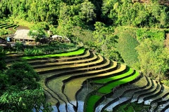Những thửa ruộng bậc thang tại các xã vùng cao của huyện biên giới Bát Xát (Lào Cai). (Ảnh: Quốc Khánh/TTXVN) 