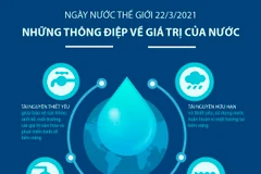 [Infographics] Ngày Nước thế giới: Những thông điệp giá trị của nước