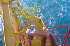 Cành mai vàng - biểu tượng mùa Xuân đất liền ra với chiến sỹ nhà giàn giữa biển khơi. (Ảnh: Quang Vinh/Vietnam+)