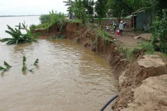 Ảnh minh họa. (Nguồn: TTXVN) 