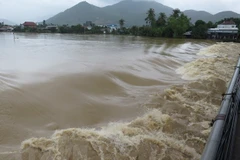 Ảnh chỉ có tính minh họa. (Nguồn: TTXVN)