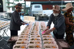 Hội Phụ nữ xã Việt Tiến chuẩn bị các suất cơm cho các khu cách ly trên địa bàn xã. (Ảnh: Danh Lam/TTXVN)