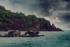 Mặc cho điều kiện sống khắc nghiệt, nhưng những lá cờ vẫn hiên ngang tung bay trên bầu trời Tây Nam Tổ quốc. (Ảnh: Huỳnh Anh/TTXVN) 