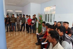Khởi tố, bắt tạm giam các đối tượng phá rừng tại Khu Bảo tồn thiên nhiên Ea Sô (Đắk Lắk). (Ảnh: TTXVN phát)