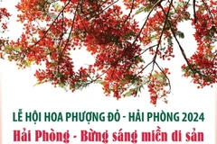 Lễ hội Hoa phượng đỏ Hải Phòng 2024: Hải Phòng-Bừng sáng miền di sản