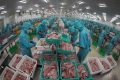 Chế biến cá tra phi lê xuất khẩu tại nhà máy của Tập đoàn Sao Mai. (Ảnh: Vũ Sinh/TTXVN)