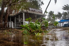 Cây cối gãy đổ khi bão Jasper đổ bộ vào Cairns, Australia, ngày 13/12/2023. (Ảnh: AFP/TTXVN)
