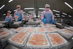 Sản phẩm tôm đông lạnh xuất khẩu của Tập đoàn Thuỷ sản Minh Phú. (Ảnh: Vũ Sinh/TTXVN)