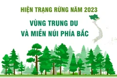 Công bố hiện trạng rừng 2023: Tỷ lệ che phủ toàn quốc đạt 42,02%