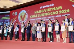 Đại diện các doanh nghiệp nhận Chứng nhận hàng Việt Nam chất lượng cao do người tiêu dùng bình chọn năm 2024. (Ảnh: Mỹ Phương/TTXVN)