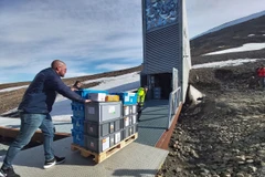 Kho dự trữ hạt giống toàn cầu Svalbard. (Nguồn: El Pais)