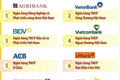 14 ngân hàng, tổ chức tín dụng quan trọng trong hệ thống năm 2024