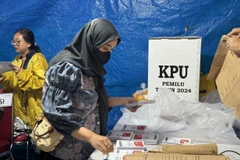 Nhân viên bầu cử kiểm đếm phiếu sau khi lấy ra từ thùng phiếu. (Ảnh: Đỗ Quyên/TTXVN)