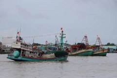Tàu cá tại cửa biển Sông Đốc, huyện Trần Văn Thời (Cà Mau). (Ảnh: Kim Há/TTXVN)