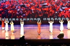 Màn biểu diễn tiết mục văn nghệ của các sinh viên Việt Nam tại lễ trao giải cuộc thi. (Ảnh: Tiến Trung/Vietnam+)