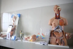 Thiết bị phục vụ đào tạo ngành y của Đại học Kinh doanh và Công nghệ Hà Nội. (Ảnh: Lê Minh Sơn/Vietnam+)