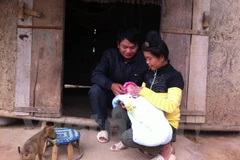 Dù đã nhiễm HIV 13 năm, được điều trị ARV, anh Lò Văn Tân (Điện Biên) vẫn khoẻ mạnh. Vợ và con anh không bị nhiếm HIV. (Ảnh: Thuỳ Giang/Vietnam+)