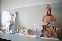 Trang thiết bị phục vụ ngành y của Đại học Kinh doanh và Công nghệ Hà Nội . (Ảnh: Lê Minh Sơn/Vietnam+)