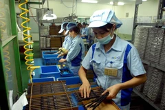 Dây chuyền sản xuất linh kiện cho các sản phẩm điện tử tại Công ty TNHH INOAC Viet Nam (vốn đầu tư của Nhật Bản), tại Khu công nghiệp Quang Minh (Hà Nội). (Ảnh: Danh Lam/TTXKN)