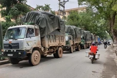 (Ảnh minh họa: TTXVN phát)