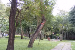 Một góc công viên 23/9. (Nguồn: TripAdvisor)