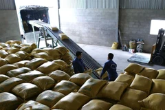 Vận chuyển gạo xuất khẩu tại Doanh nghiệp tư nhân Chế biến nông sản Quang Vũ, xã Phước Lộc, huyện Tuy Phước, tỉnh Bình Định. (Ảnh: Vũ Sinh/TTXVN)