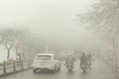 Ảnh minh họa. (Ảnh: Minh Quyết/TTXVN)