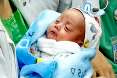 (Ảnh chỉ có tính minh họa: Dương Ngọc/TTXVN)