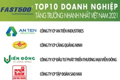 Một số doanh nghiệp thuộc top 10 của Bảng xếp hạng FAST500 năm 2021. (Nguồn: Vietnam Report)