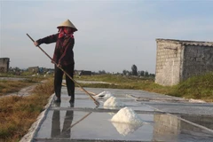 Làm việc giữa trưa nắng, mồ hôi nhễ nhại nhưng diêm dân chỉ kiếm được khoảng vài chục nghìn/ngày. (Nguồn: TTXVN)