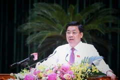 Ông Dương Văn Thái, Ủy viên Trung ương Đảng, Bí thư Tỉnh ủy, Trưởng Đoàn đại biểu Quốc hội tỉnh Bắc Giang phát biểu. (Ảnh: Danh Lam/TTXVN)